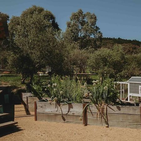 Вилла Whimsical Willunga Getaway Экстерьер фото