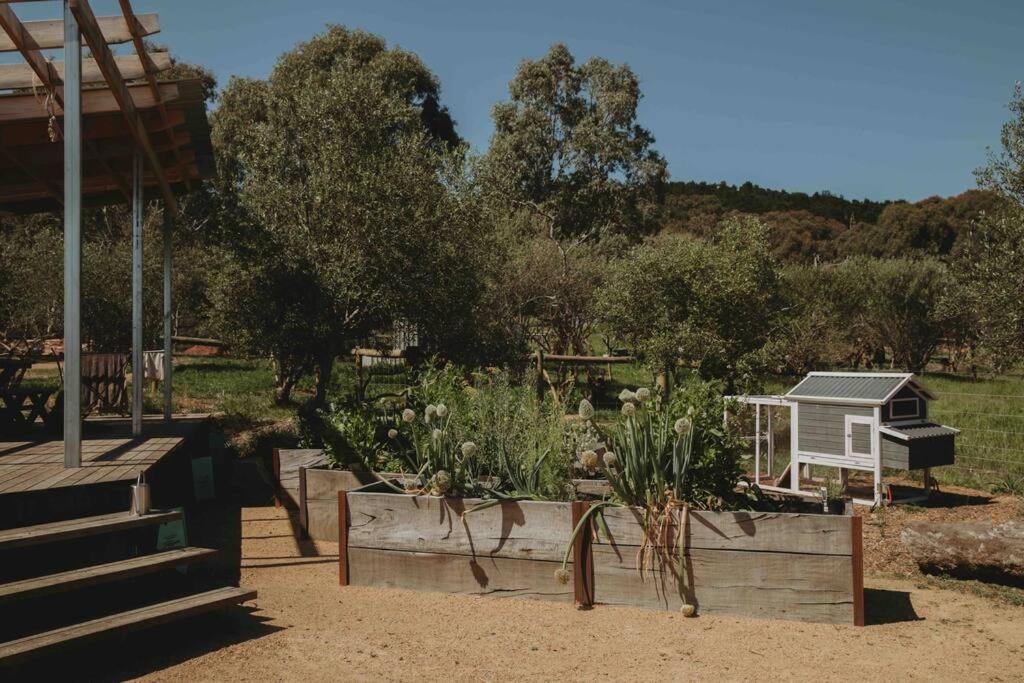 Вилла Whimsical Willunga Getaway Экстерьер фото