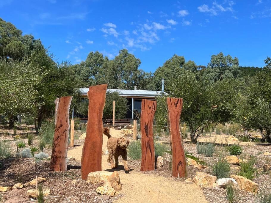 Вилла Whimsical Willunga Getaway Экстерьер фото